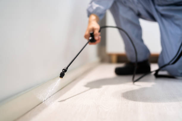 Licensed Cockroach Control service in Big Spring, TX - Nex Pest Control