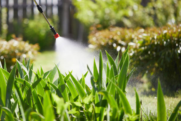24/7 Emergency Cockroach Control experts in Big Spring, TX
