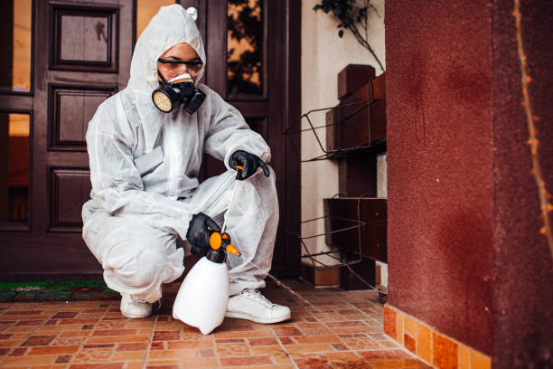 Reliable Cockroach Control contractor in Big Spring, TX by Nex Pest Control